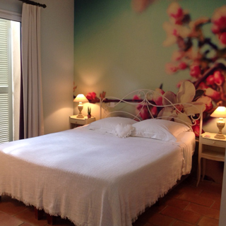 Kamer Florentine